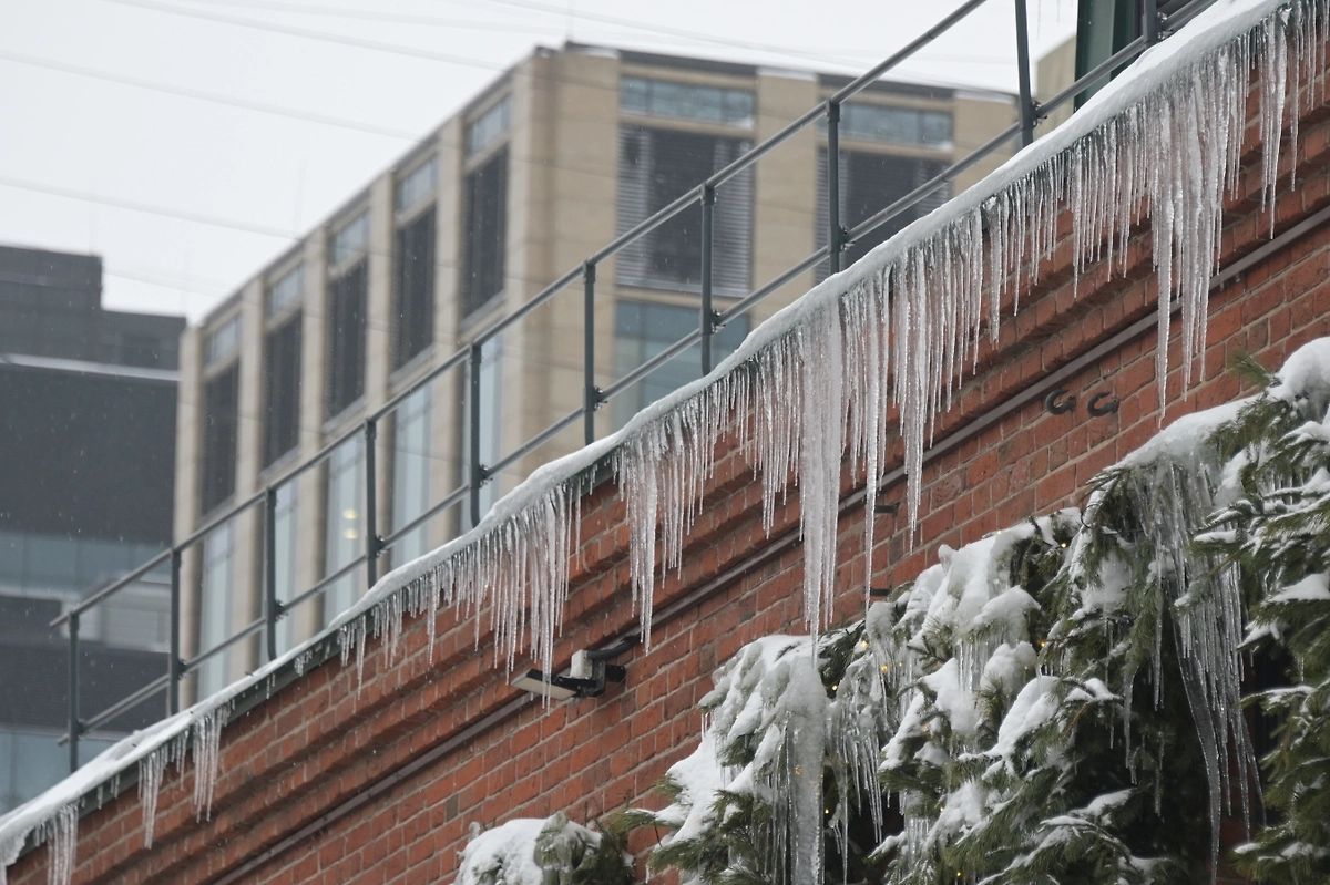Обложка © Life.ru