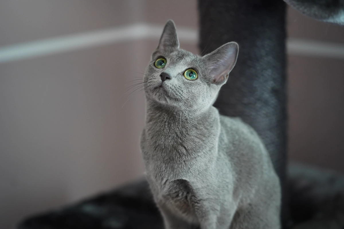 Обложка © Shutterstock / FOTODOM / Michael Kalinin