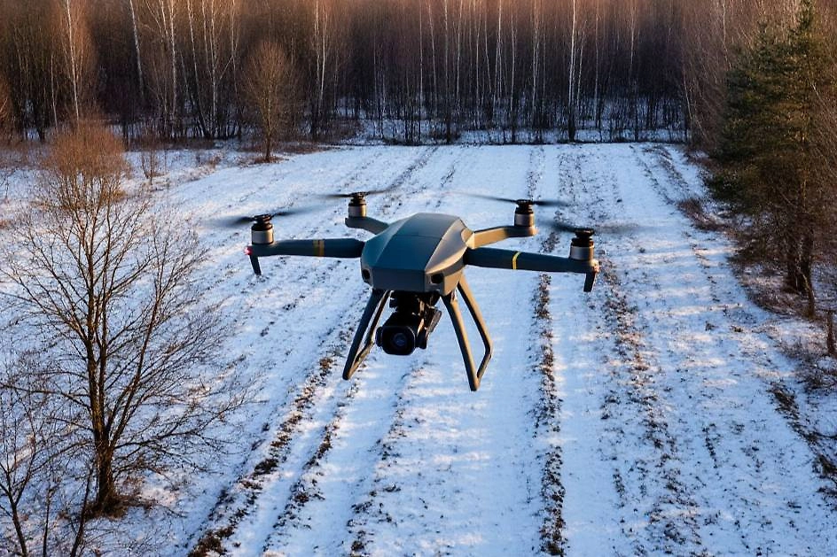 Обложка © «Шедеврум» / Life.ru