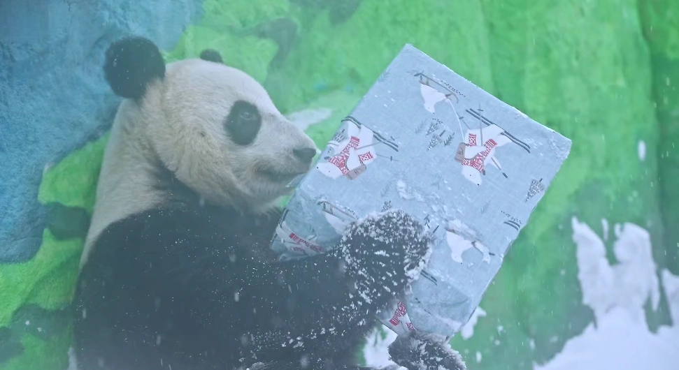 Обложка © Telegram / Московский зоопарк