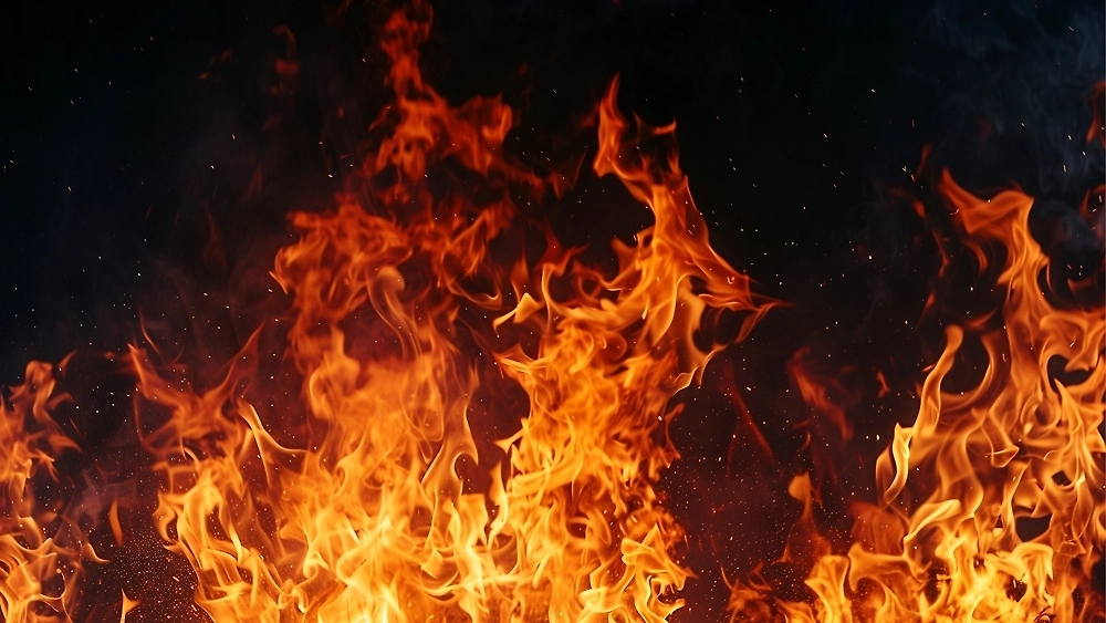 Обложка © Shutterstock / FOTODOM / PJ-Stock