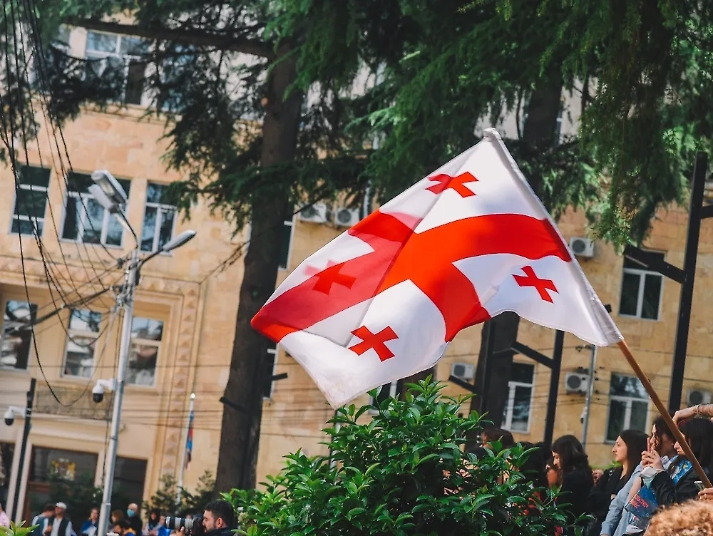 В Грузии назвали события в Венесуэле уроком для Тбилиси