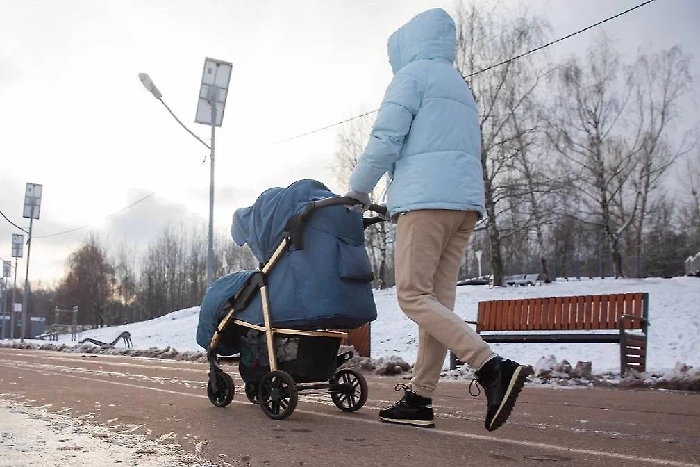 Депутат Панеш: Маткапитал будет проиндексирован с 1 февраля на 6,8%
