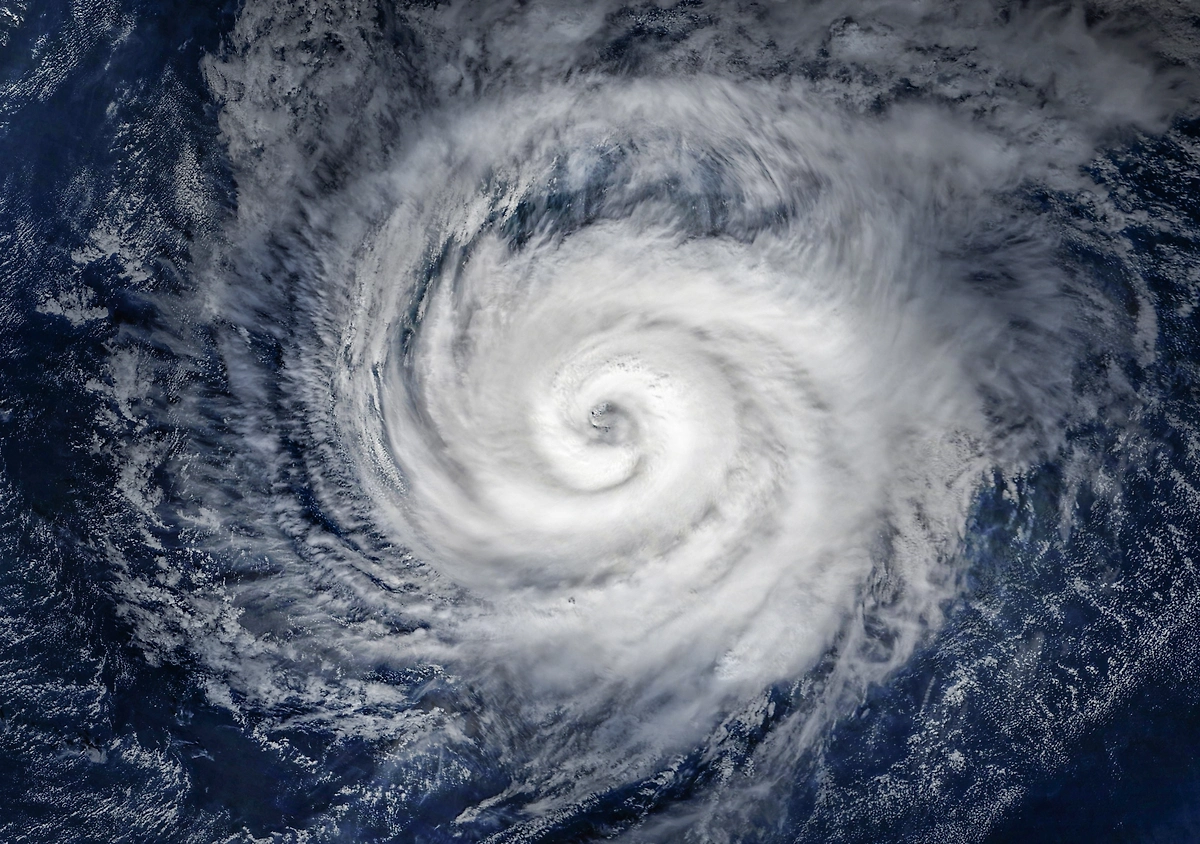 Обложка © Shutterstock / FOTODOM / Triff