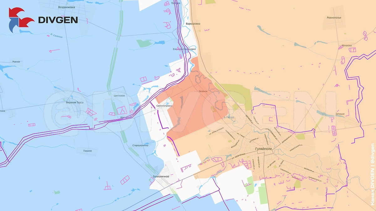 Карта СВО на 10 января 2026 года. Подразделения ГрВ «Восток» освободили н.п. Зелёное Запорожской области. Фото © Telegram / DIVGEN 🚩 Карта СВО