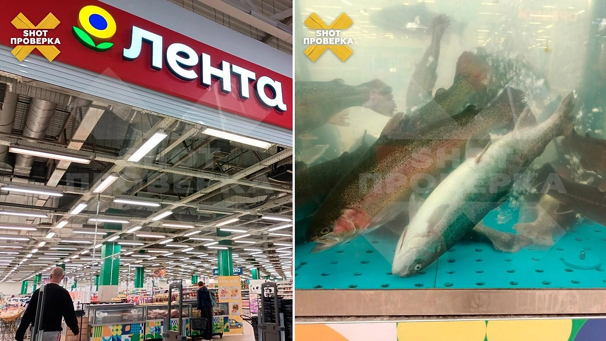 В «Ленте» Екатеринбурга мёртвую рыбу из аквариума отправили на витрину. Фото © Telegram / SHOT ПРОВЕРКА