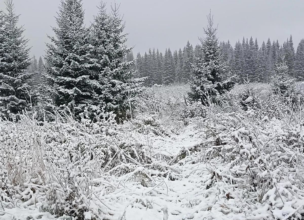 Снег на Урале. Фото © VK / Новости Магнитогорска