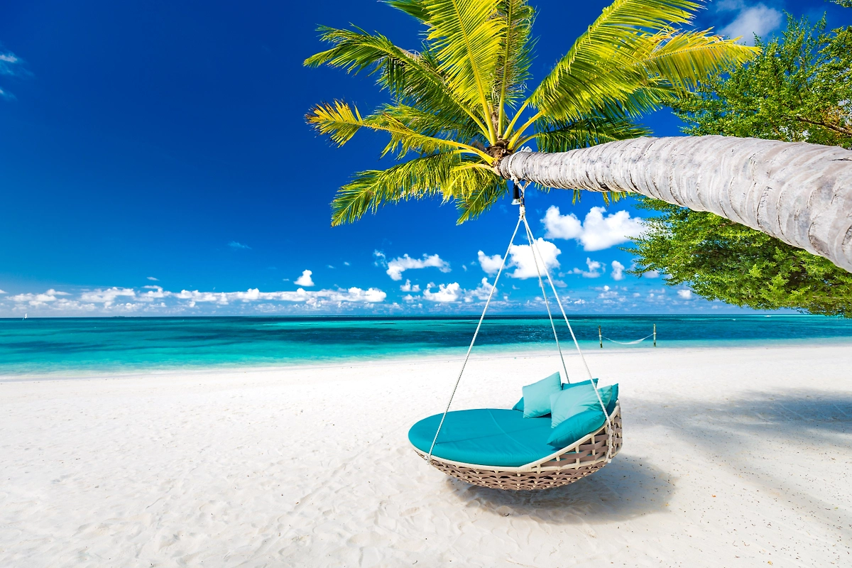 Обложка © Shutterstock / FOTODOM / icemanphotos