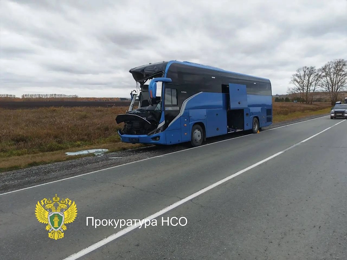 Обложка © Telegram/Прокуратура Новосибирской области
