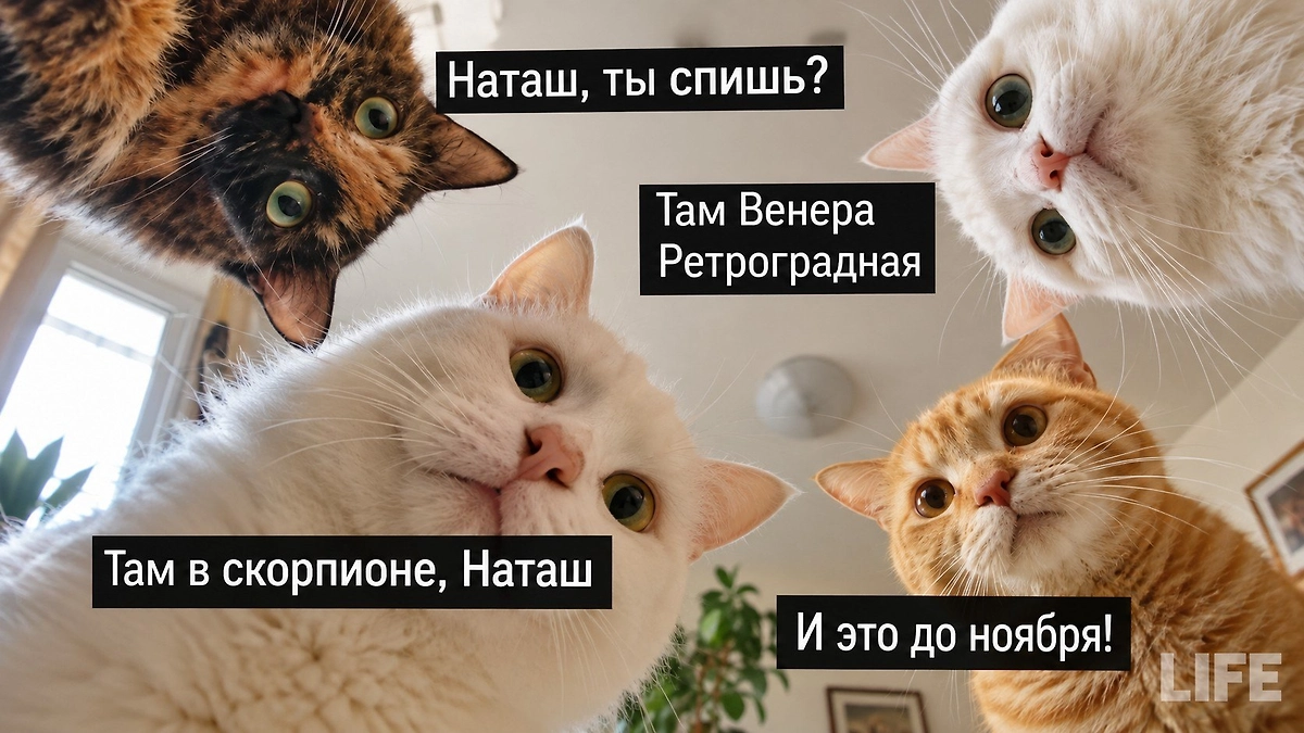 Ретроградная Венера с 3 октября по 14 ноября: прогноз для знака зодиака Скорпион. ИИ-иллюстрация: создано редакцией Life.ru с использованием ChatGPT (OpenAI) 