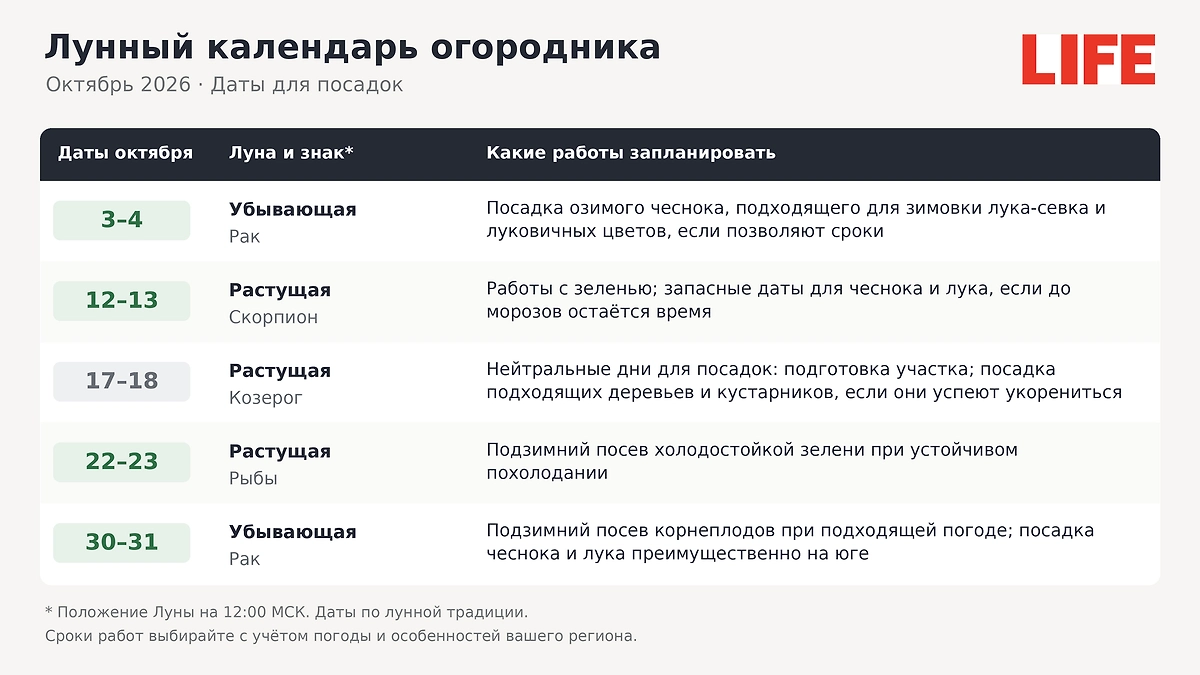 Лунный календарь посадок на октябрь 2026: благоприятные дни для чеснока, лука, зелени и корнеплодов. ИИ-иллюстрация: создана редакцией Life.ru с использованием ChatGPT (OpenAI) 