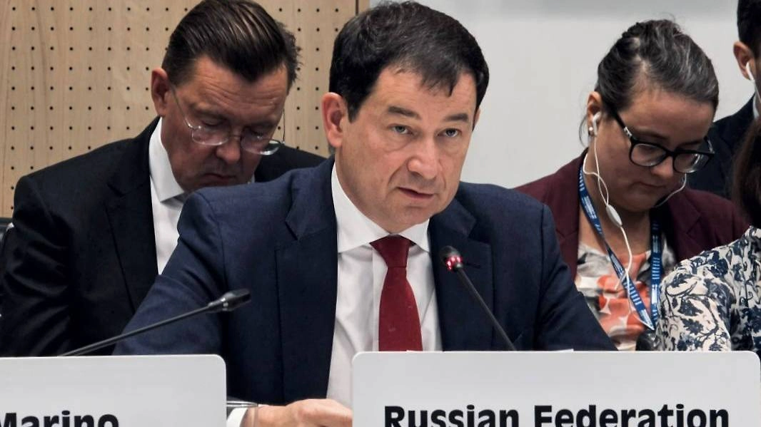 Обложка © Telegram / RusMissionOSCE