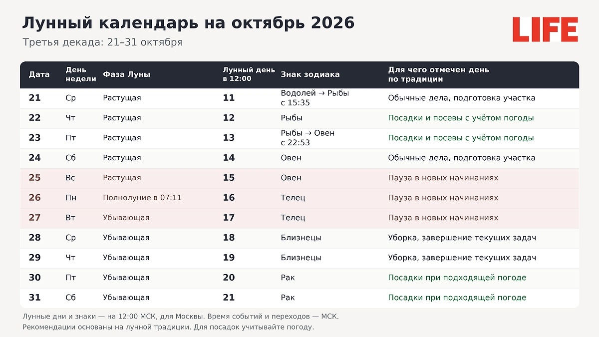 Лунный календарь на 21–31 октября 2026: полнолуние, смена фаз и даты для разных дел в конце месяца. ИИ-иллюстрация: создано редакцией Life.ru с использованием ChatGPT (OpenAI)