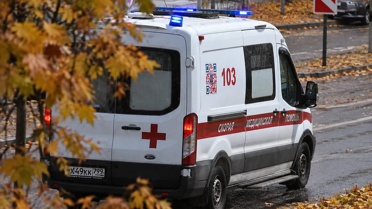 Обложка © Life.ru