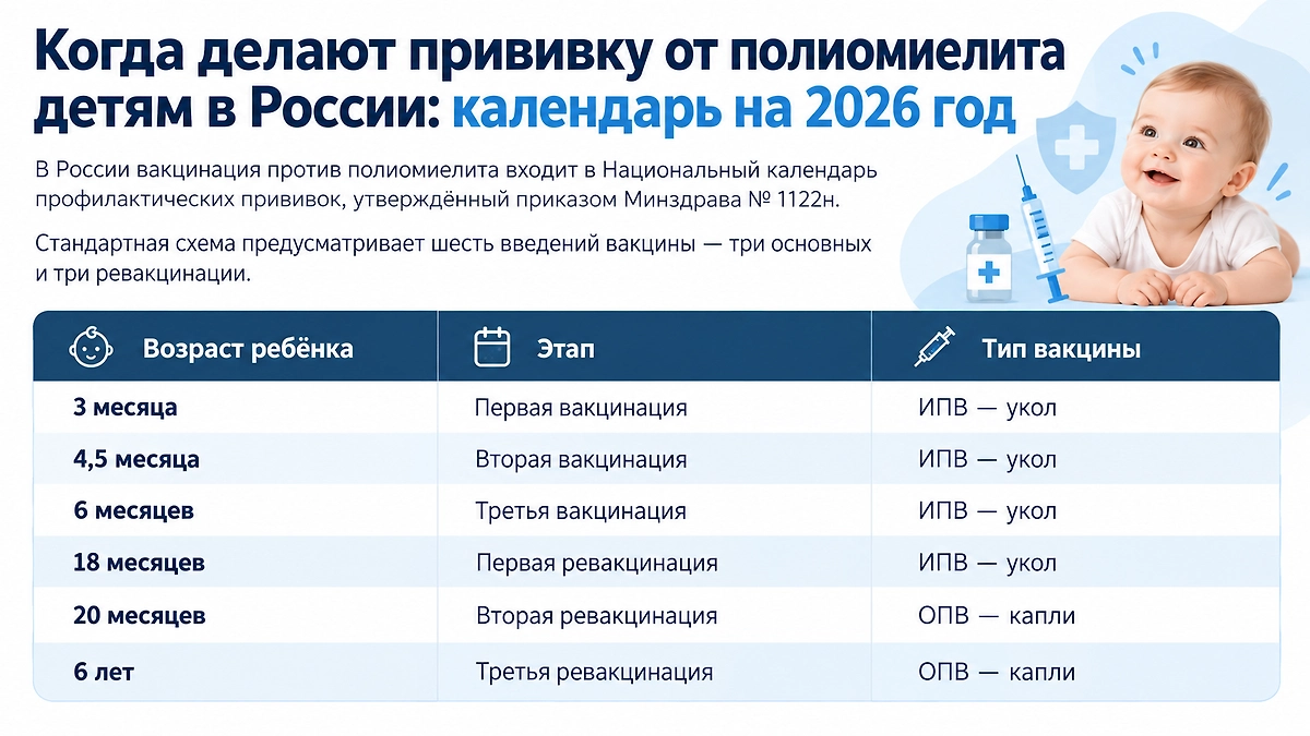 Календарь вакцинации от полиомиелита в России в 2026 году: в каком возрасте детям делают прививки и проводят ревакцинацию. Инфографика © Life.ru