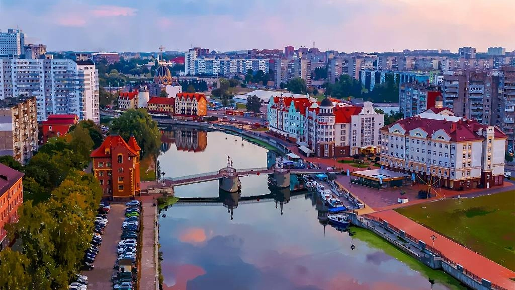 Обложка © Shutterstock / FOTODOM / Collection Maykova