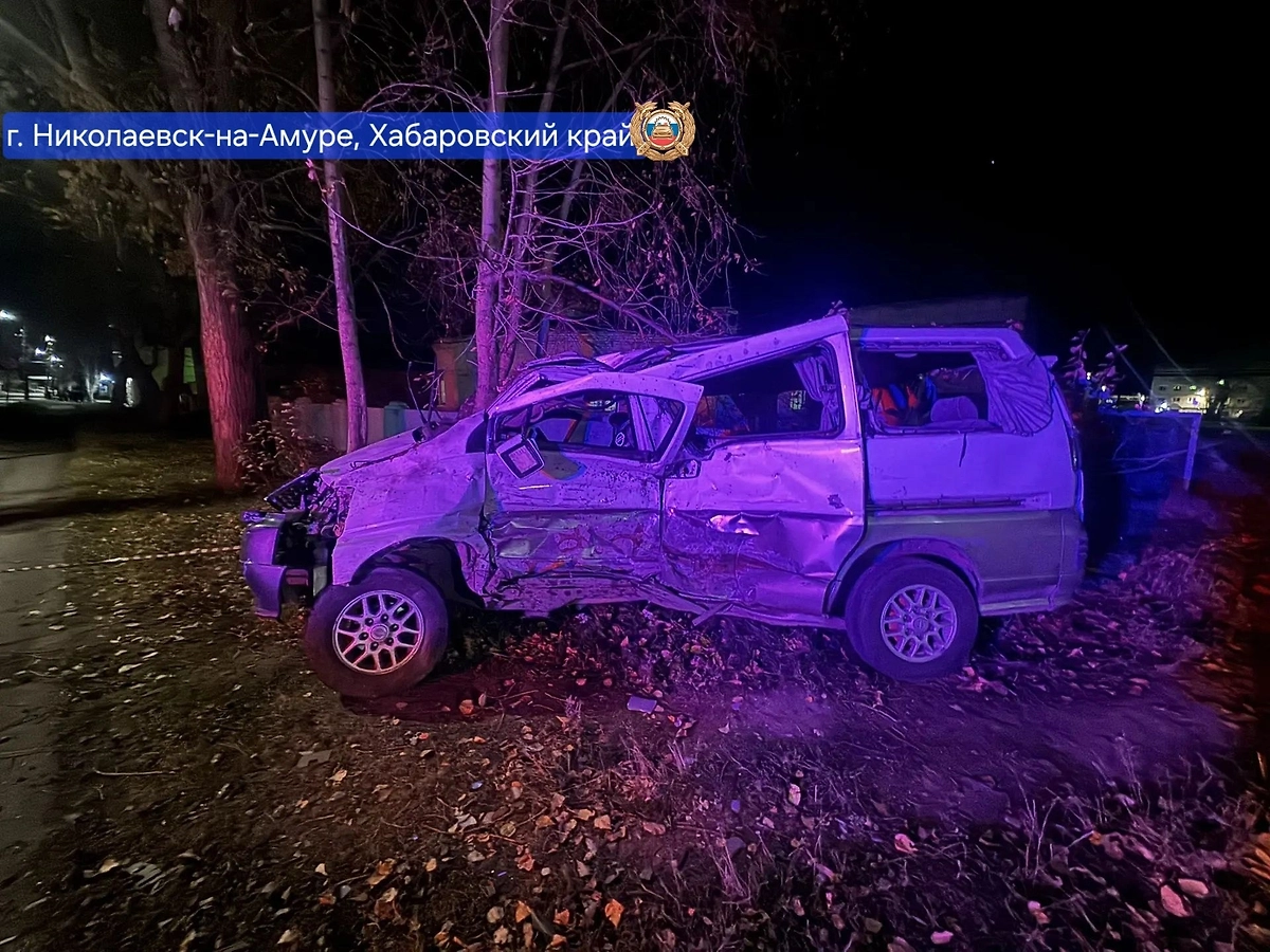 Два человека погибли, восемь пострадали в ДТП в Хабаровском крае. Фото © Telegram / Госавтоинспекция Хабаровского края