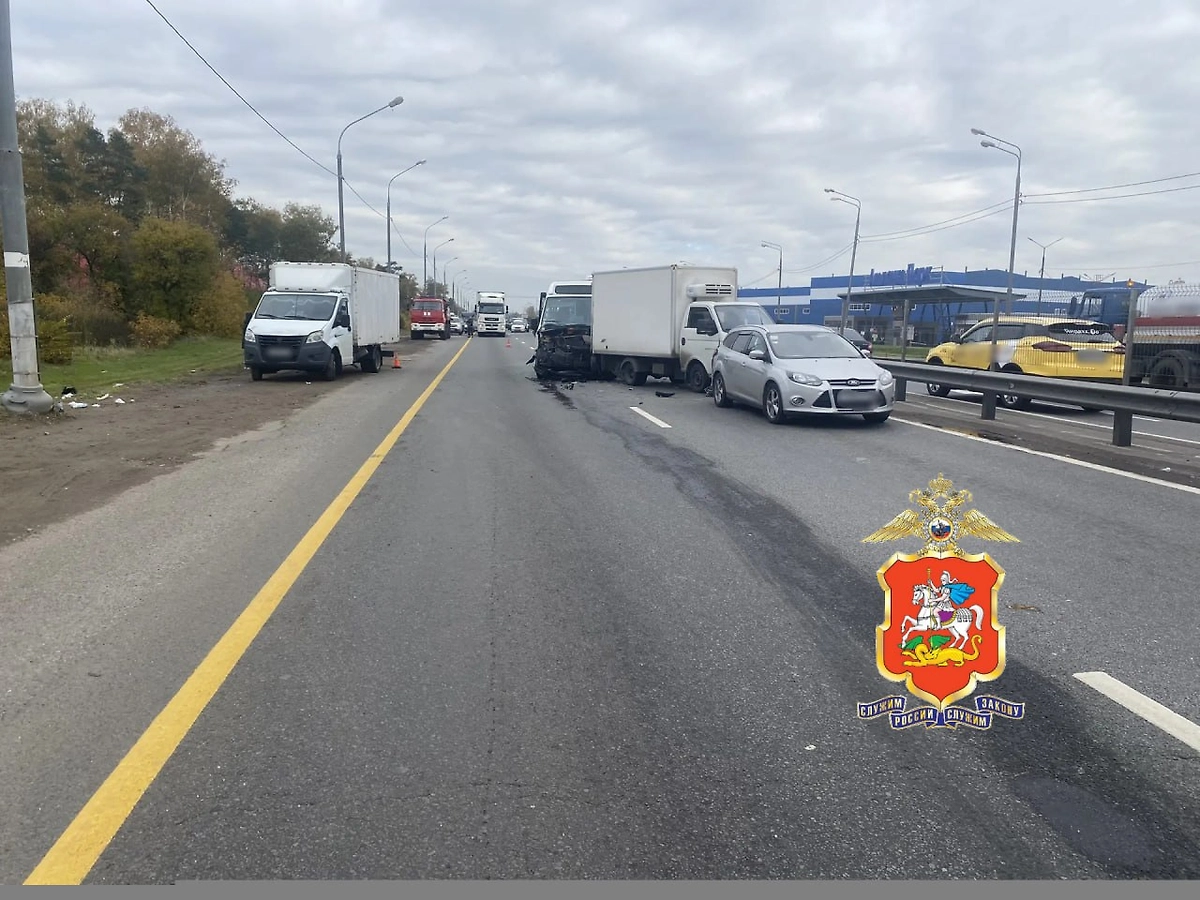 Обложка © Telegram / Подмосковная полиция