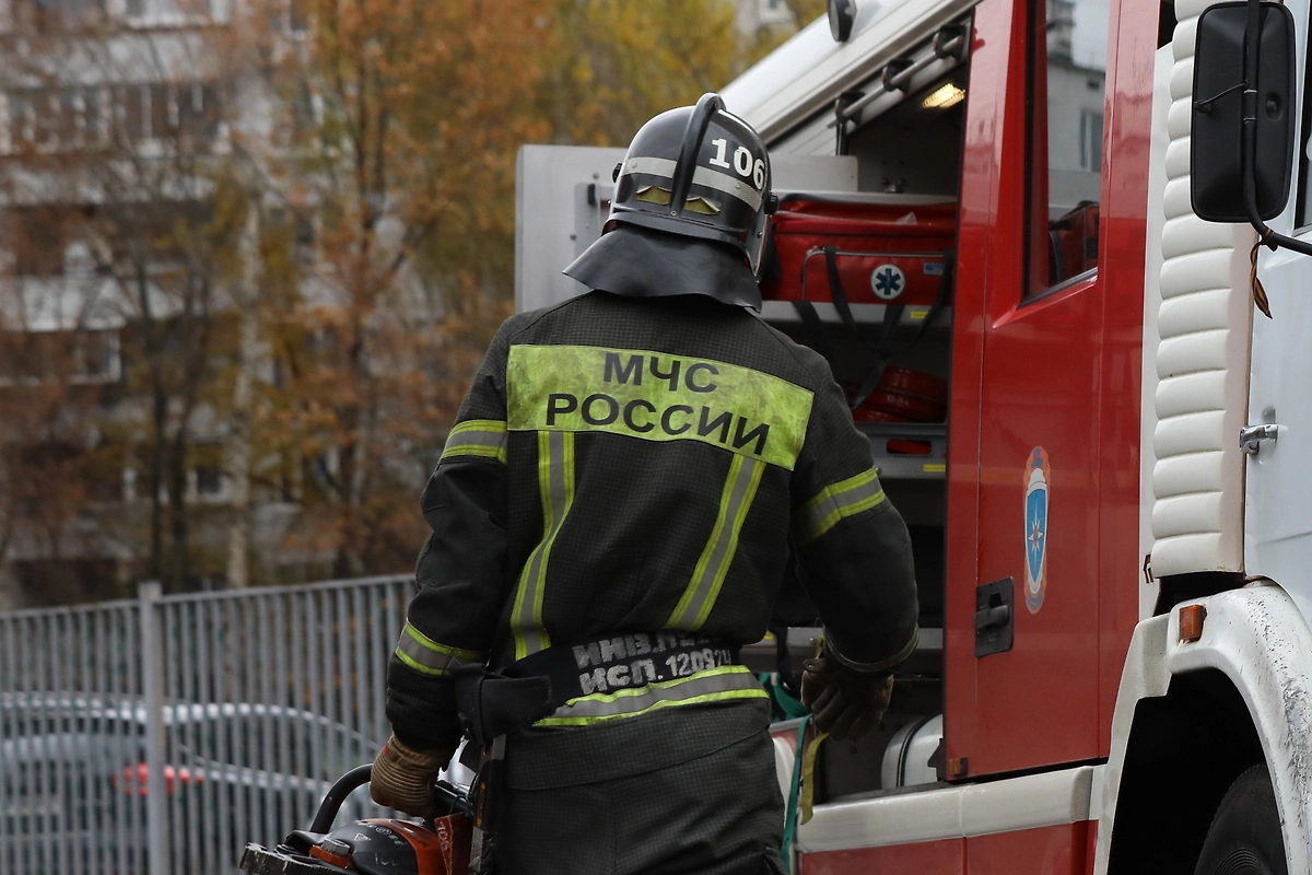 Обложка © Life.ru
