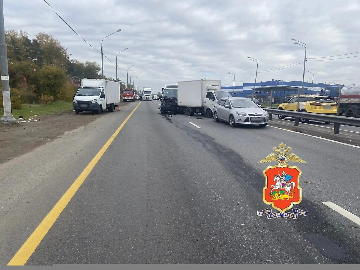 Обложка © Telegram / Подмосковная полиция
