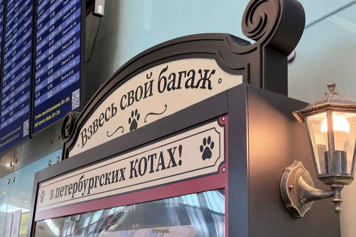 В аэропорту Пулково появились весы, измеряющие багаж в котах. Фото © Telegram /Аэропорт Пулково