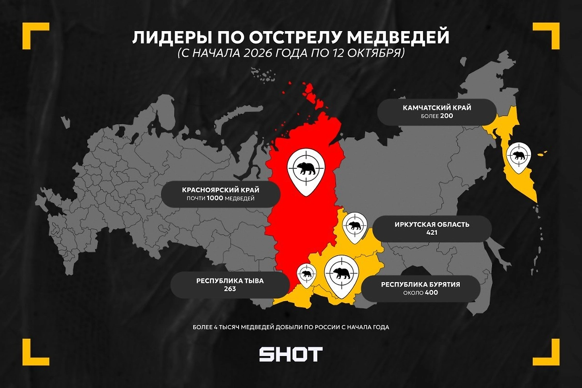 В РФ отстрелили более 4 тысяч медведей из-за регулярных выходов к людям — статистика SHOT.
