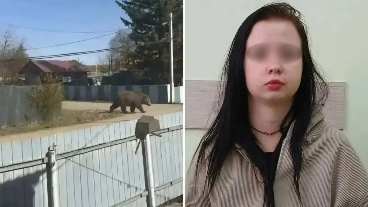 Жительницу Приамурья оштрафовали на 15 тысяч рублей за ИИ-фото медведя. Фото © Пресс-служба судов Амурской области