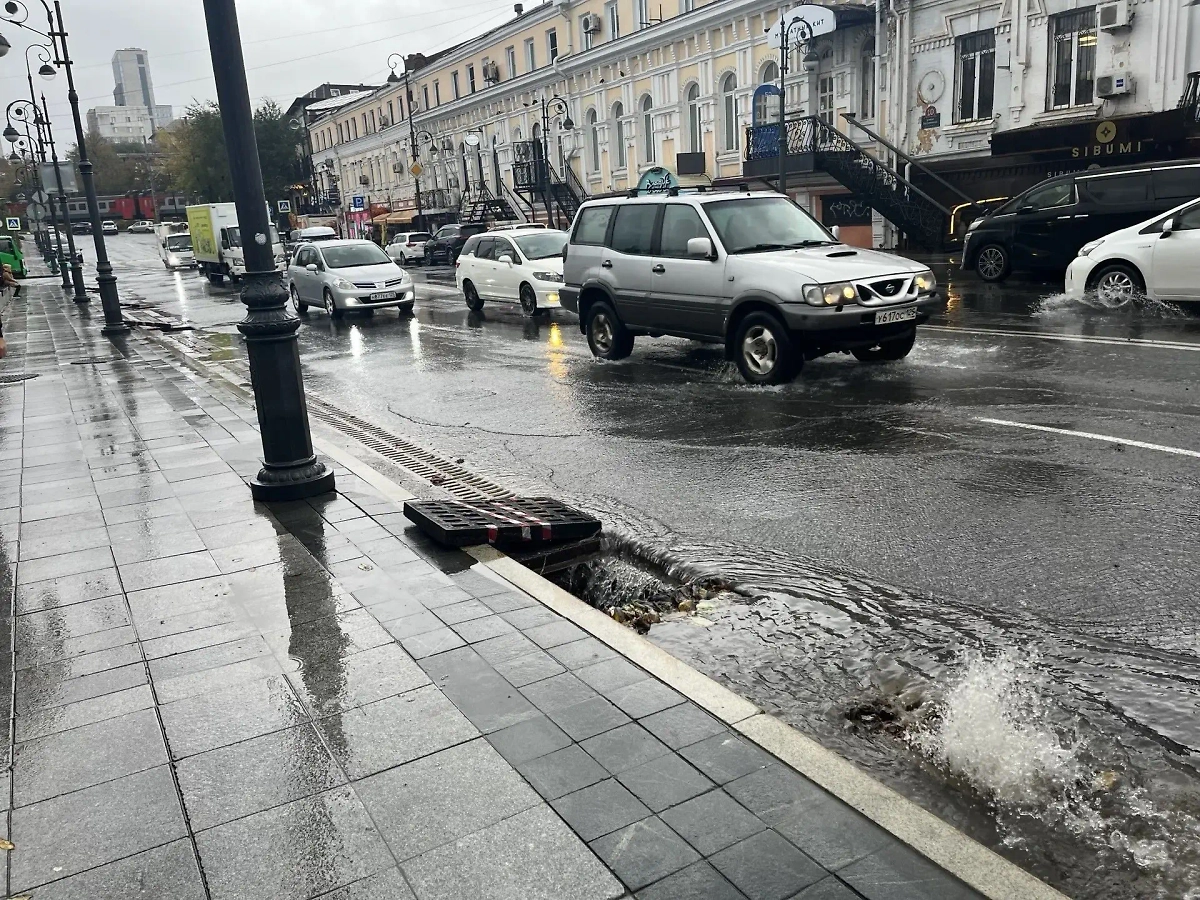 Обложка © Max / Администрация Владивостока