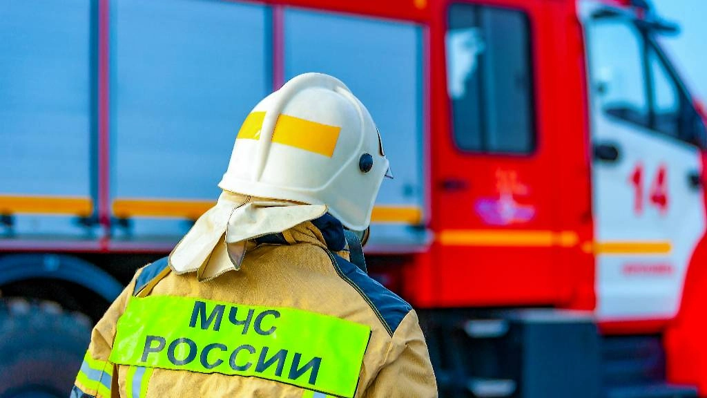Обложка © Shutterstock / FOTODOM / Evgenii Panov
