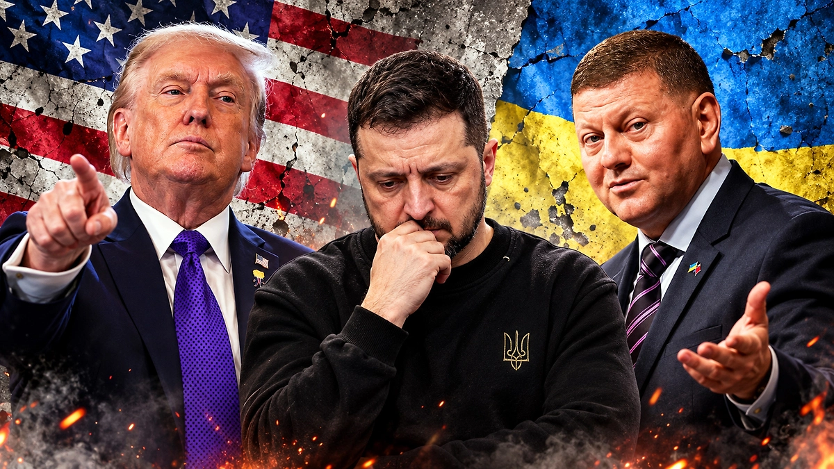 Кого США предлагают на место Зеленского: Залужный, Фёдоров, Буданов*. Коллаж © Life.ru. Обложка © Gettyimages / Alex Wong, Thierry Monasse, © ТАСС / Alberto Pezzali / АР
