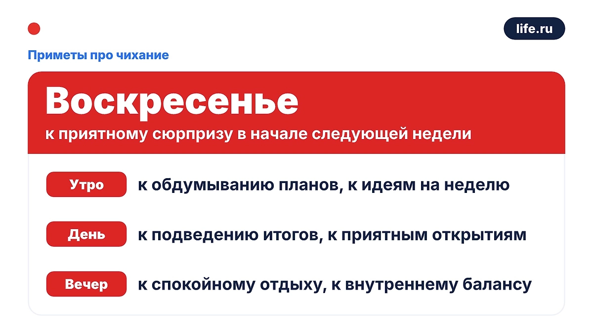 Инфографика Life.ru