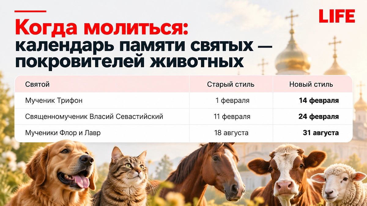 Когда молиться о животных: календарь дней памяти святых — покровителей домашних питомцев. ИИ-иллюстрация: создано редакцией Life.ru с использованием ChatGPT (OpenAI)