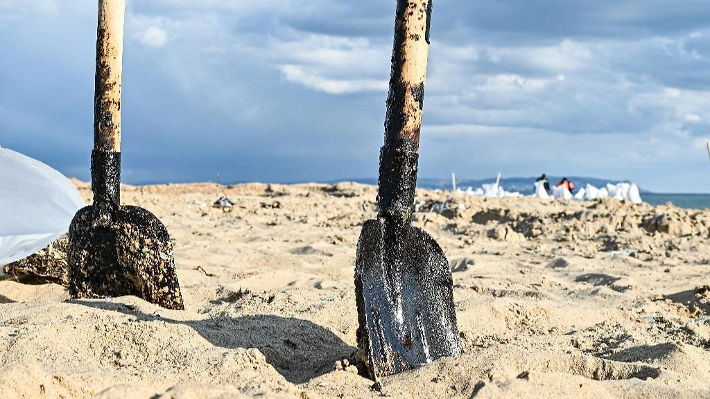Обложка © ТАСС / Игорь Онучин