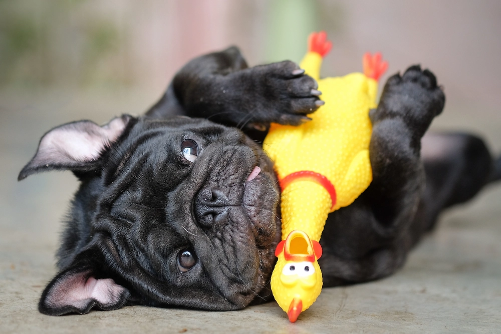 Обложка © Shutterstock / FOTODOM / Ezzolo