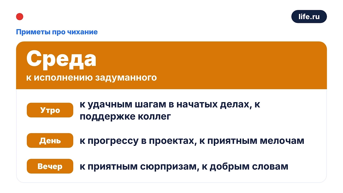 Инфографика Life.ru