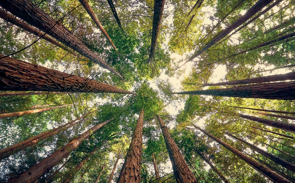 Обложка © Shutterstock / FOTODOM / a2gover