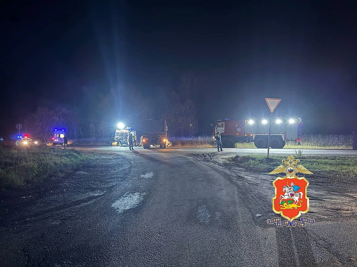 Фото © ГУ МВД России по Московской области