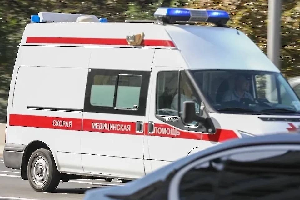 Обложка © Life.ru