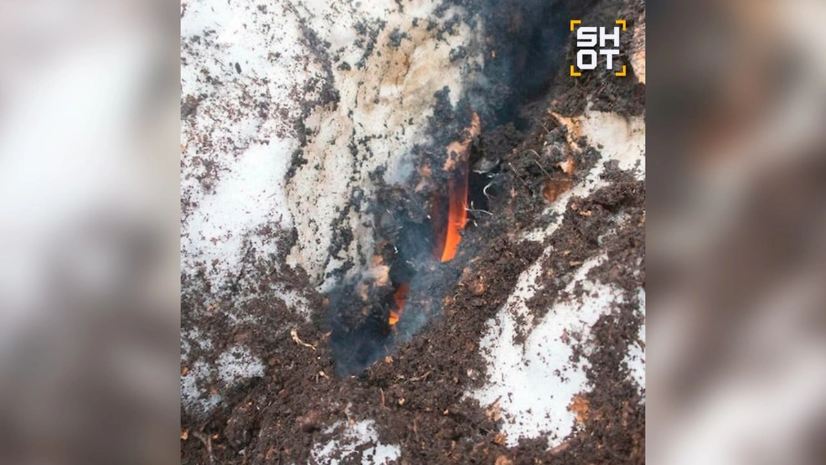 «Зомби‑пожары» могут накрыть Россию весной из‑за аномально тёплой зимы. Фото © Telegram / SHOT