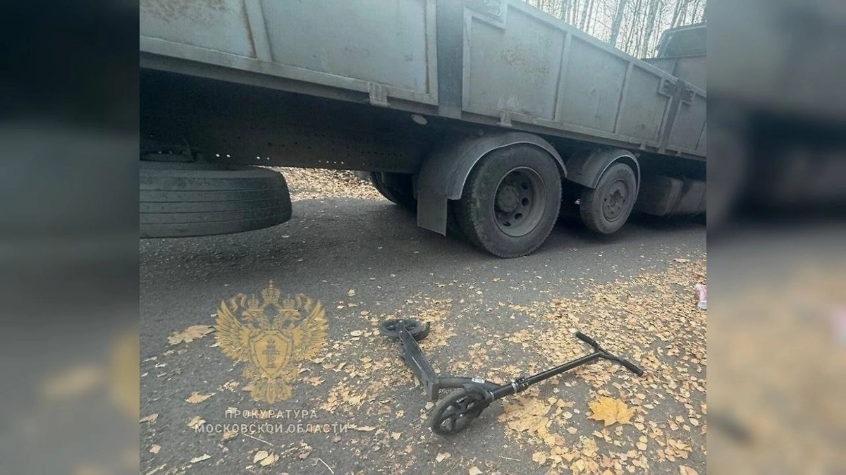 Обложка © Telegram / Прокуратура Московской области