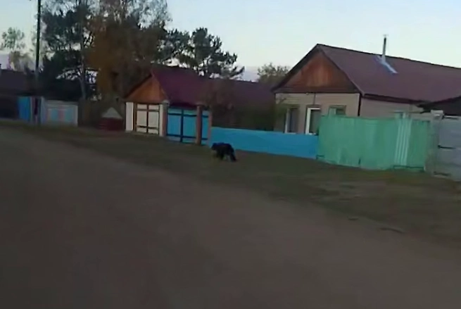 Обложка © Telegram / Весь Улан-Удэ