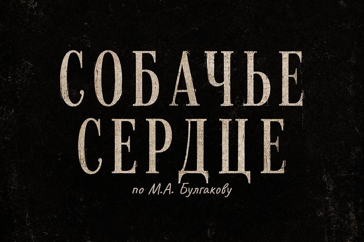В России снимут новую экранизацию «Собачьего сердца» Булгакова. Фото © Telegram / МАРС МЕДИА