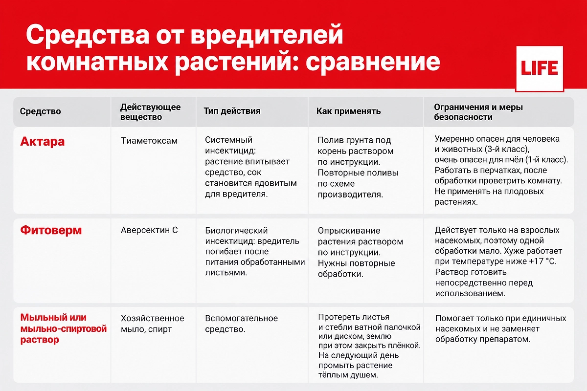 Чем обработать комнатные растения от мучнистого червеца. Инфографика © Life.ru