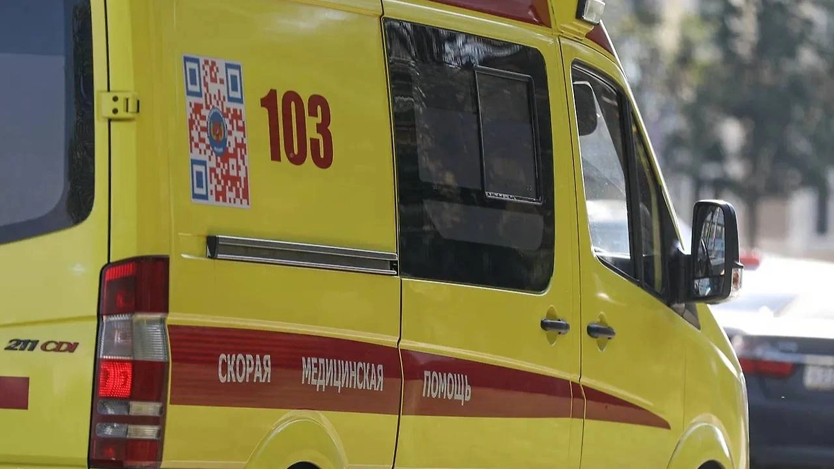 Обложка © Life.ru