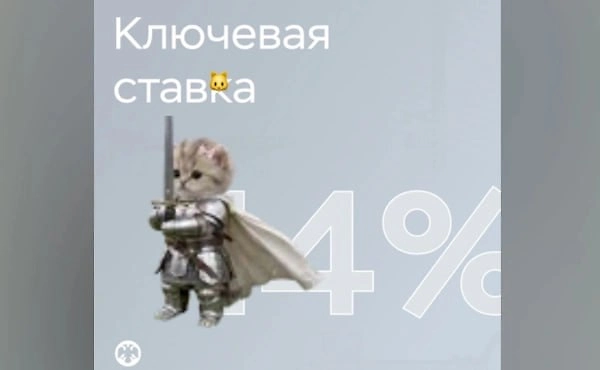 Котёнок из публикации ЦБ. Фото © Telegram / Банк России