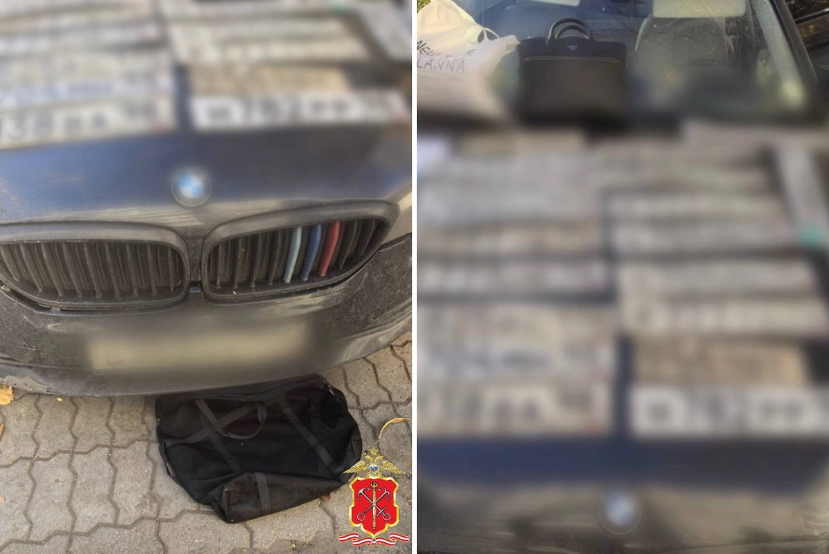 В Петербурге задержали двух подозреваемых в краже автомобилей на 19,4 млн рублей. Фото © Telegram / Петербургская полиция