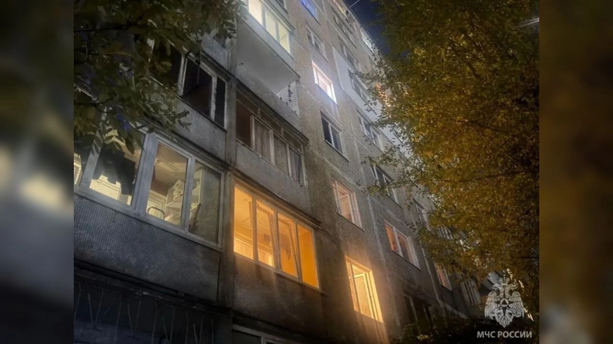 В Калининграде при пожаре в квартире погибли женщина и более 20 кошек. Фото © Пресс-служба МЧС Калининградской области