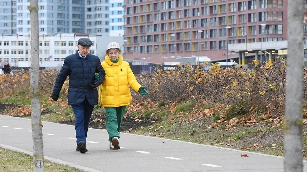 C 1 ноября пенсии и пособия выплатят по особому графику. Обложка © Life.ru