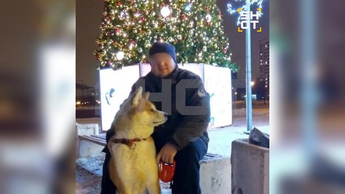 Москвич задушил бывшую жену и спрятал её тело в лесу Подмосковья. Фото © Telegram /SHOT