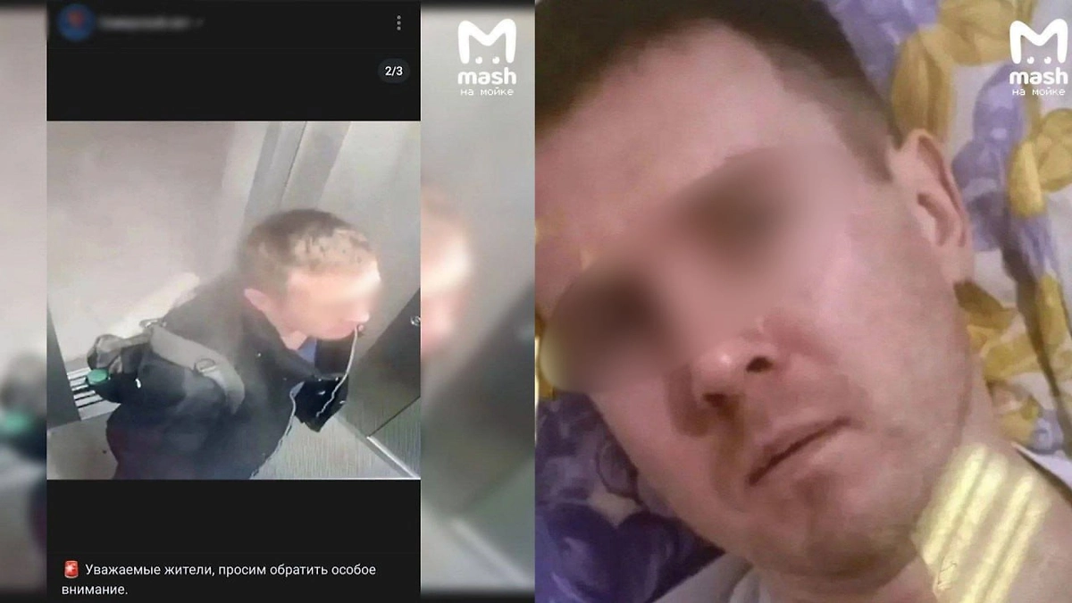 Обложка © Telegram / Mash на Мойке